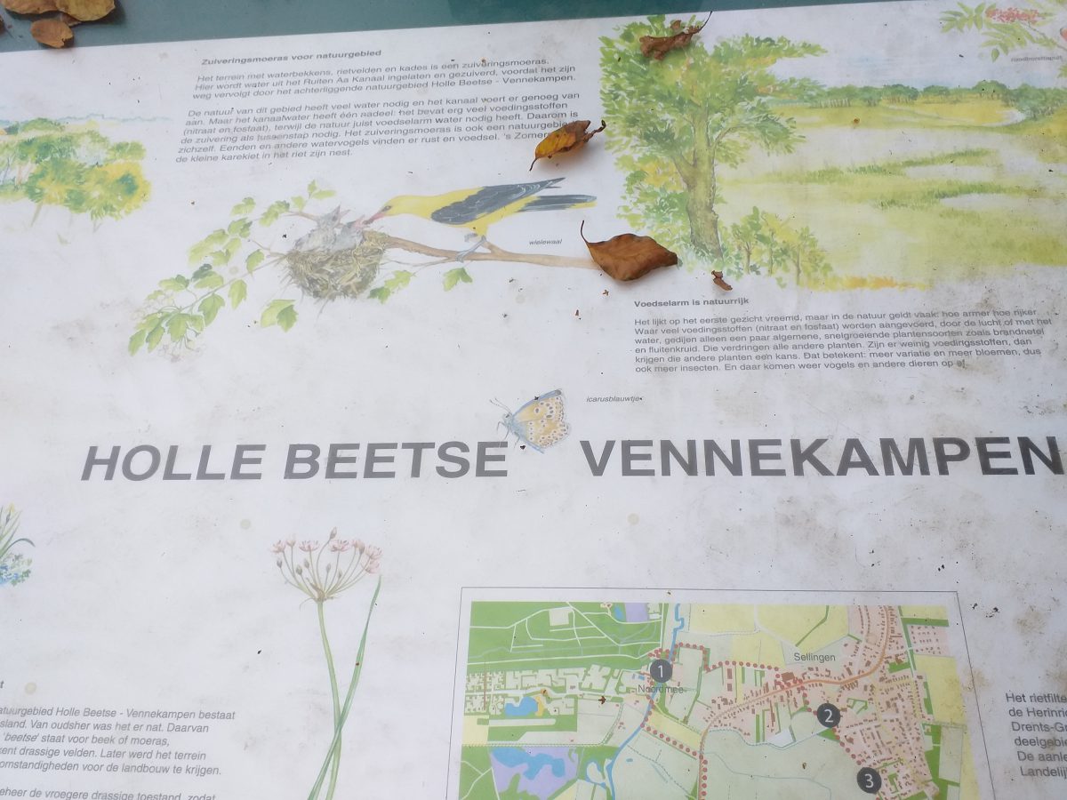 Een glimp van Holle Beetse Vennekampen